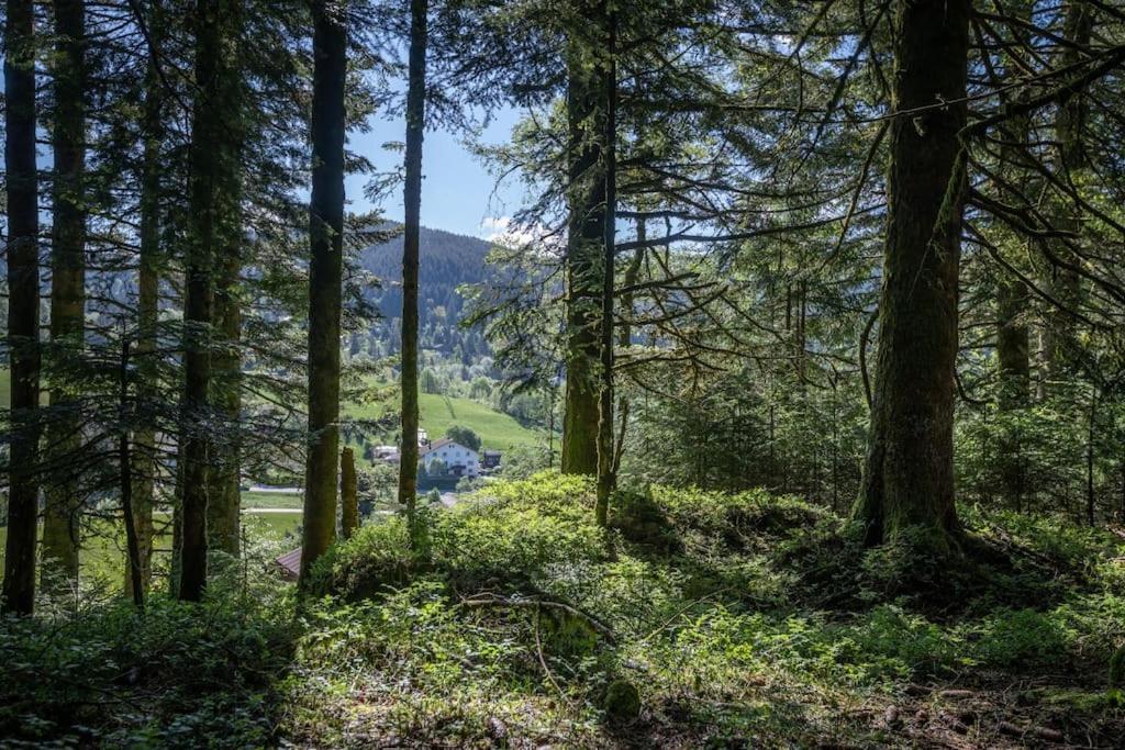 Charmant Chalet Cosy & Paisible En Pleine Nature - Refuge Idyllique Pour 5P Жерарме Екстер'єр фото