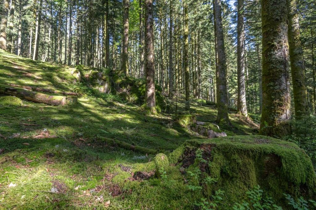 Charmant Chalet Cosy & Paisible En Pleine Nature - Refuge Idyllique Pour 5P Жерарме Екстер'єр фото