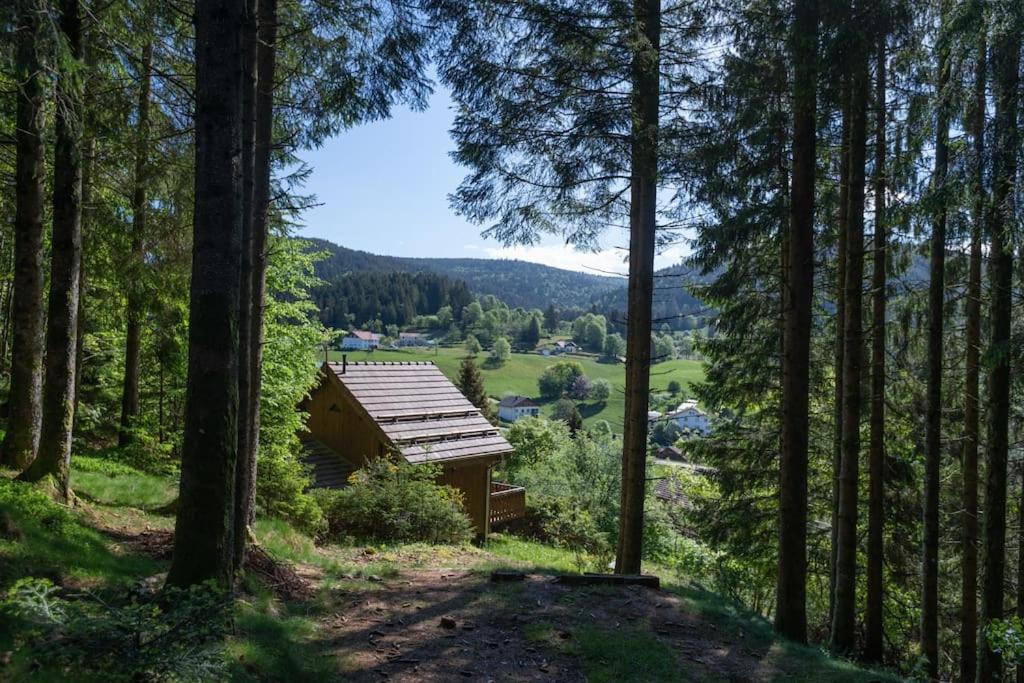 Charmant Chalet Cosy & Paisible En Pleine Nature - Refuge Idyllique Pour 5P Жерарме Екстер'єр фото